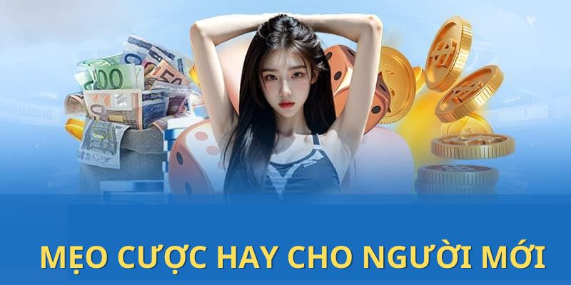 Mẹo cược game bài 8XBET hiệu quả nhất