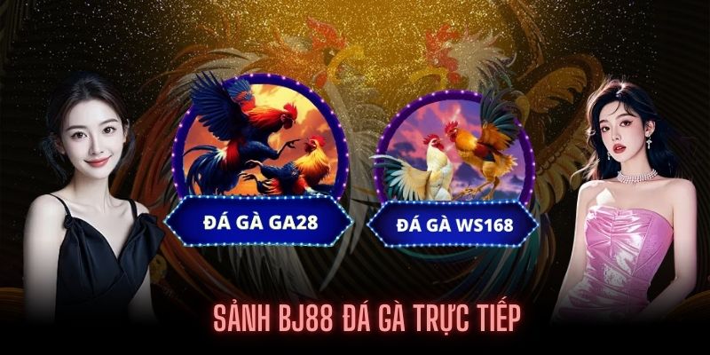 2 phòng live đá gà tại BJ88